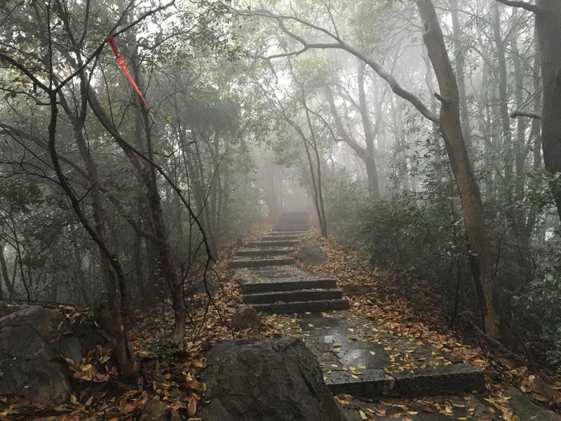 15雾气