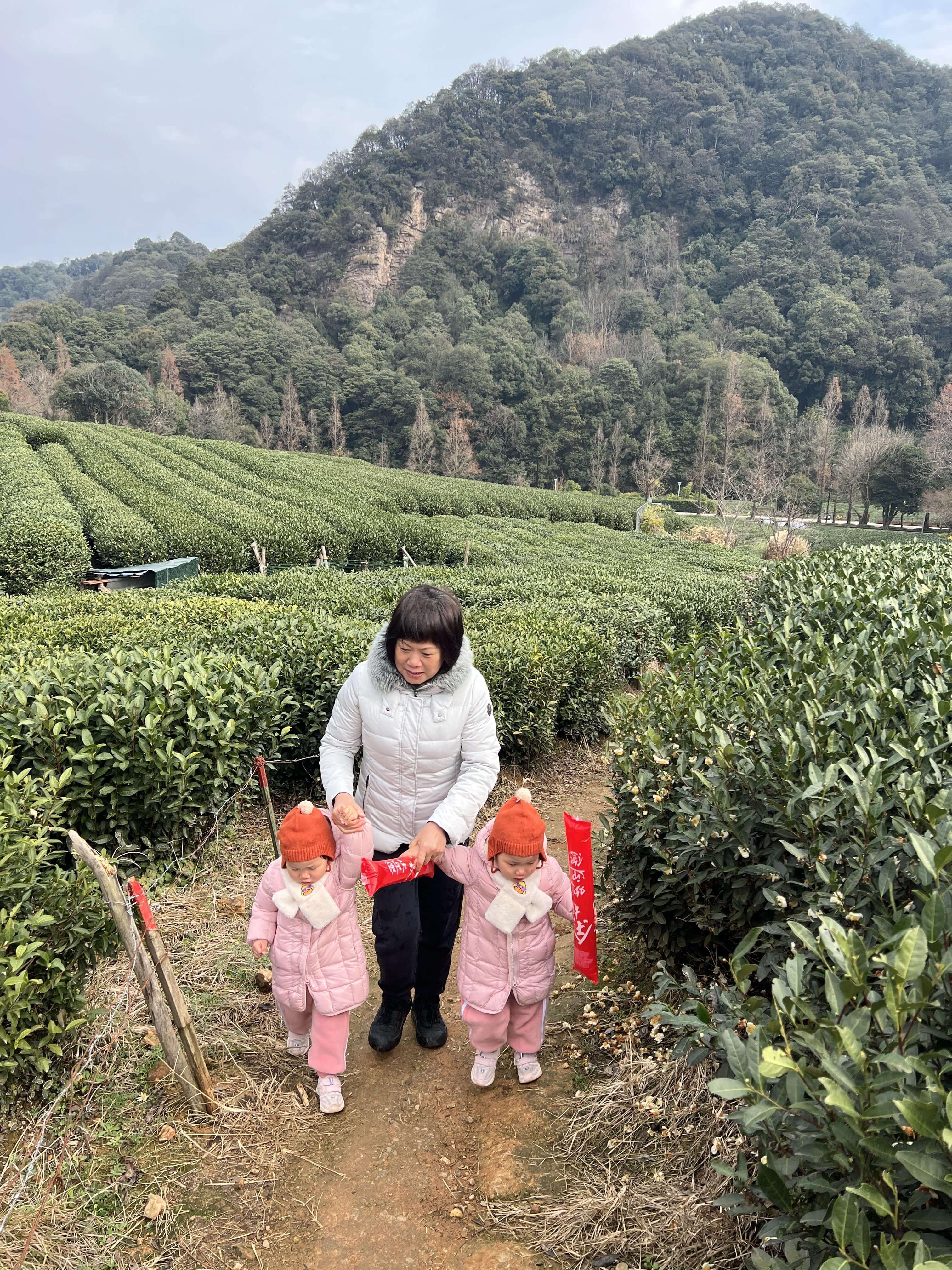 04_茶园_外婆_竖.JPG