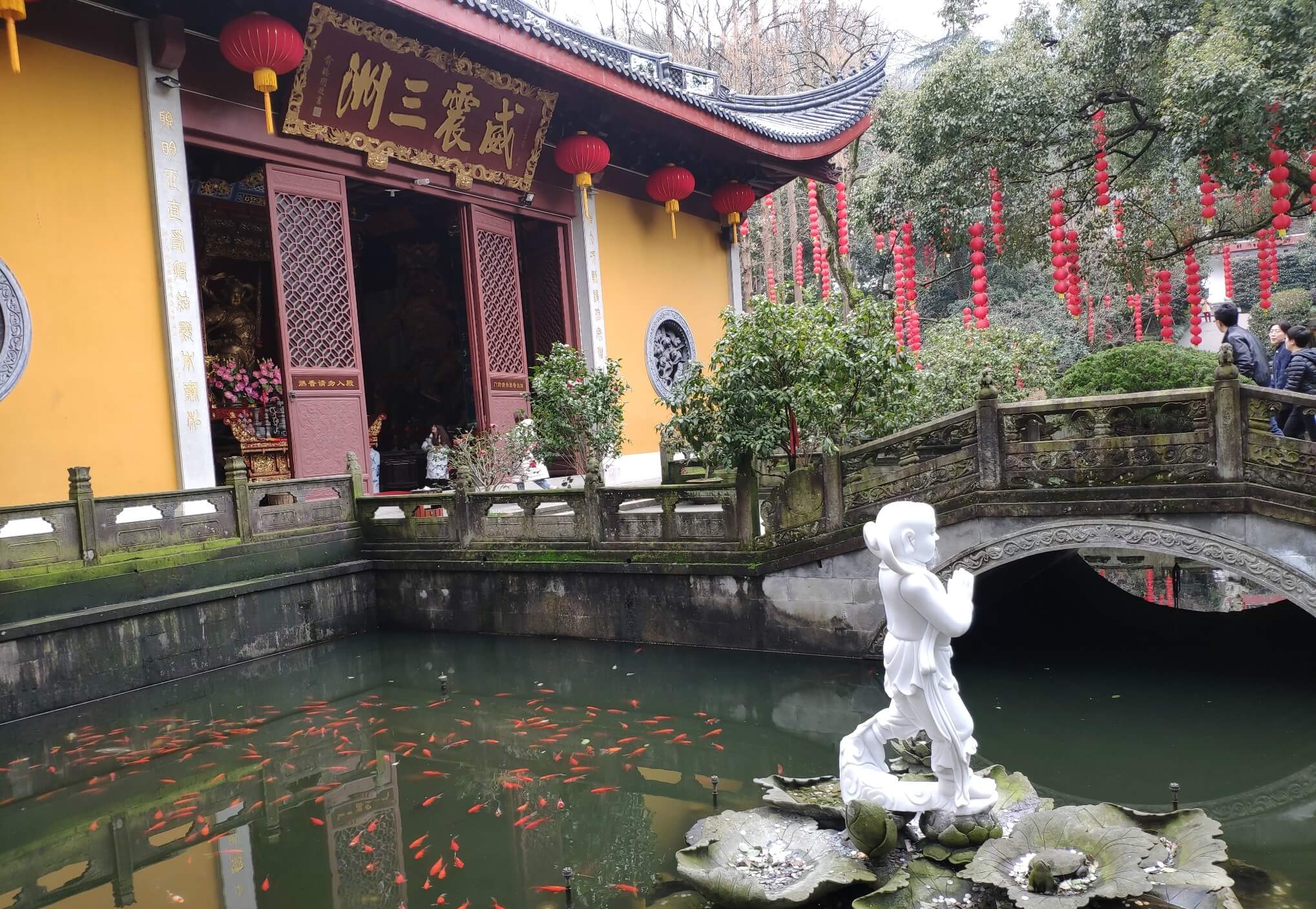 12_锦鲤.jpg