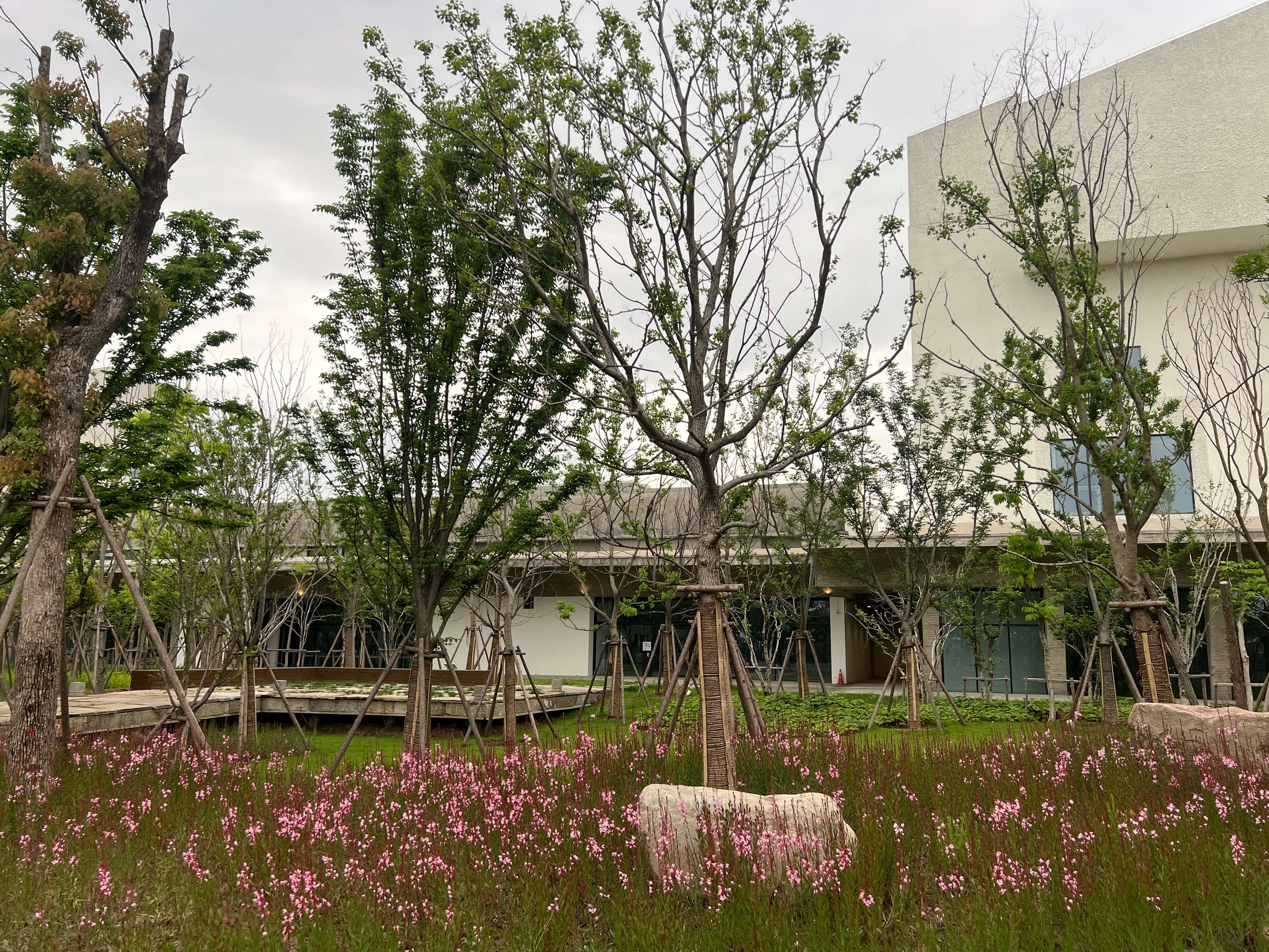 04_caa_flower2.JPG